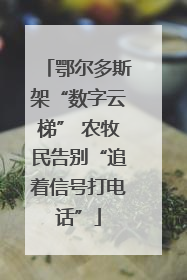 鄂尔多斯架“数字云梯” 农牧民告别“追着信号打电话”