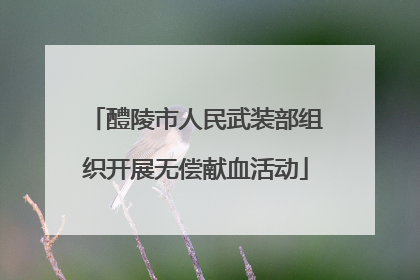 醴陵市人民武装部组织开展无偿献血活动