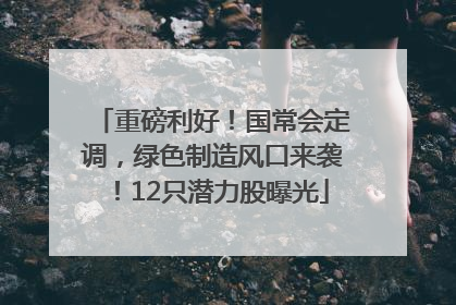 重磅利好！国常会定调，绿色制造风口来袭！12只潜力股曝光