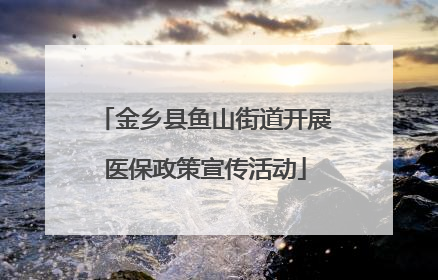金乡县鱼山街道开展医保政策宣传活动