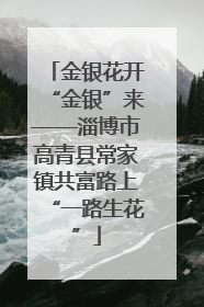 金银花开“金银”来——淄博市高青县常家镇共富路上“一路生花”