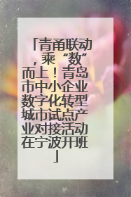 青甬联动，乘“数”而上！青岛市中小企业数字化转型城市试点产业对接活动在宁波开班