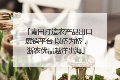 青田打造农产品出口展销平台 以侨为桥，浙农优品越洋出海