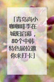 青岛尚小咖咖啡季在城阳启幕，80个中韩特色展位邀你来打卡