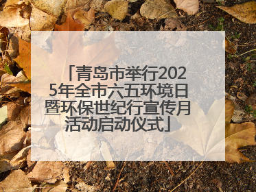 青岛市举行2025年全市六五环境日暨环保世纪行宣传月活动启动仪式