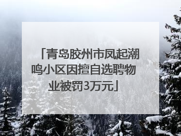 青岛胶州市凤起潮鸣小区因擅自选聘物业被罚3万元