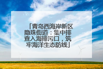 青岛西海岸新区隐珠街道：集中排查入海排污口，筑牢海洋生态防线