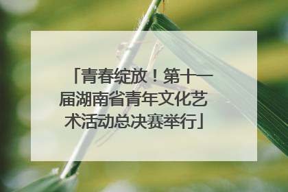 青春绽放！第十一届湖南省青年文化艺术活动总决赛举行