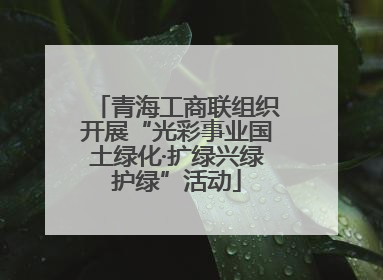 青海工商联组织开展“光彩事业国土绿化·扩绿兴绿护绿”活动