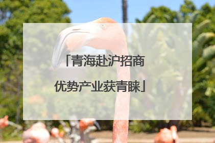 青海赴沪招商 优势产业获青睐