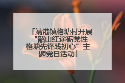 靖港镇格塘村开展“韶山红途砺党性 格塘先锋践初心”主题党日活动