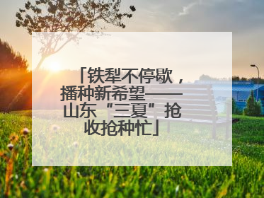 铁犁不停歇，播种新希望——山东“三夏”抢收抢种忙