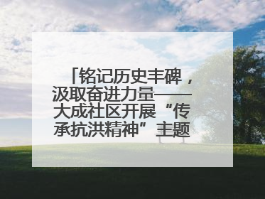 铭记历史丰碑，汲取奋进力量——大成社区开展“传承抗洪精神”主题党日活动