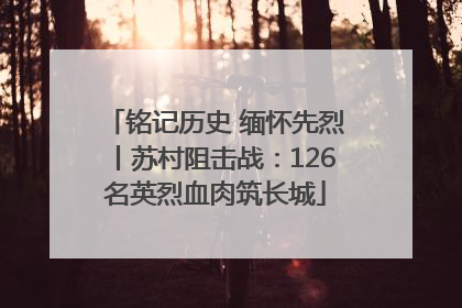 铭记历史 缅怀先烈丨苏村阻击战：126名英烈血肉筑长城