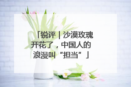 锐评｜沙漠玫瑰开花了，中国人的浪漫叫“担当”