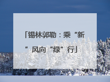 锡林郭勒：乘“新”风向“绿”行