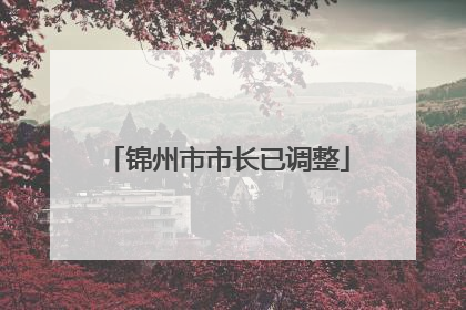 锦州市市长已调整