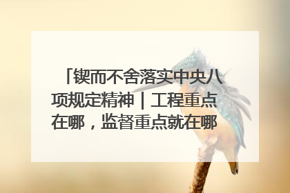 锲而不舍落实中央八项规定精神｜工程重点在哪，监督重点就在哪——广西深化政治监督护航平陆运河建设
