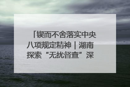 锲而不舍落实中央八项规定精神｜湖南探索“无扰督查”深化基层减负