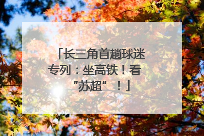 长三角首趟球迷专列：坐高铁！看“苏超”！