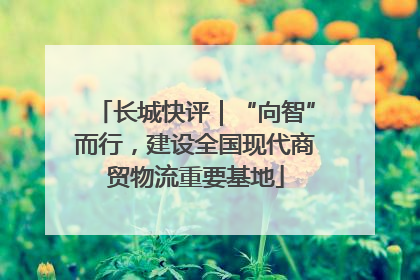 长城快评｜“向智”而行，建设全国现代商贸物流重要基地