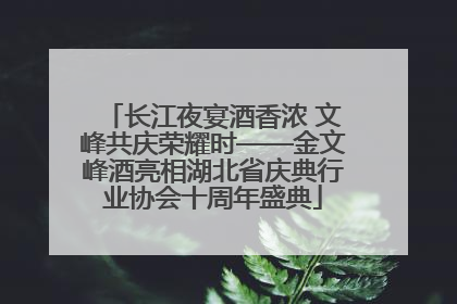 长江夜宴酒香浓 文峰共庆荣耀时——金文峰酒亮相湖北省庆典行业协会十周年盛典