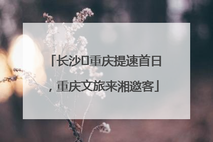 长沙⇌重庆提速首日，重庆文旅来湘邀客