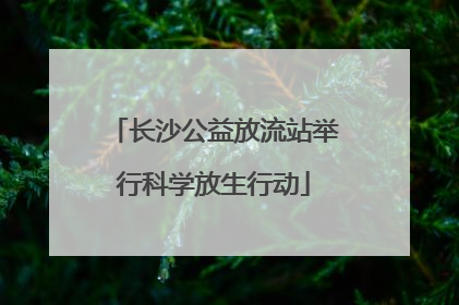长沙公益放流站举行科学放生行动