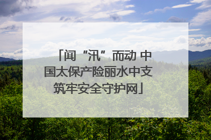 闻“汛”而动 中国太保产险丽水中支筑牢安全守护网