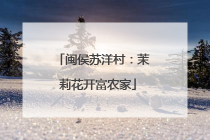 闽侯苏洋村：茉莉花开富农家
