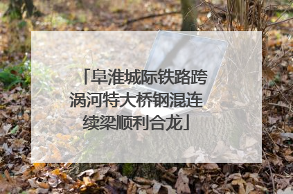 阜淮城际铁路跨涡河特大桥钢混连续梁顺利合龙