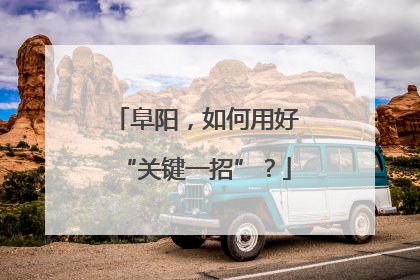 阜阳，如何用好“关键一招”？