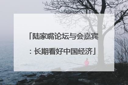 陆家嘴论坛与会嘉宾：长期看好中国经济