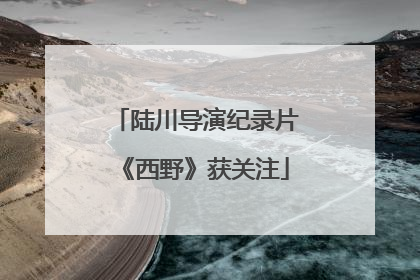 陆川导演纪录片《西野》获关注