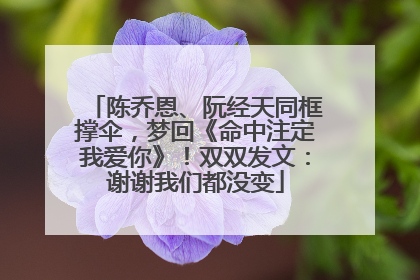 陈乔恩、阮经天同框撑伞，梦回《命中注定我爱你》！双双发文：谢谢我们都没变