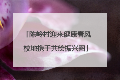 陈岭村迎来健康春风 校地携手共绘振兴图