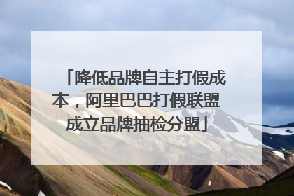 降低品牌自主打假成本，阿里巴巴打假联盟成立品牌抽检分盟