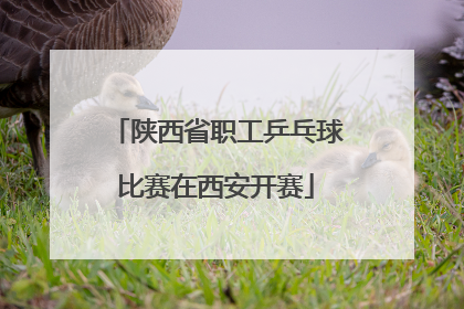 陕西省职工乒乓球比赛在西安开赛