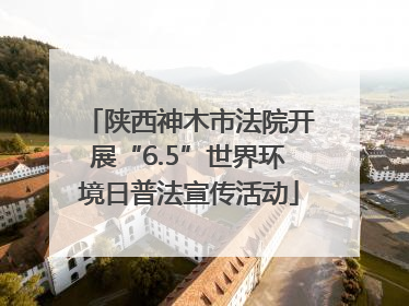 陕西神木市法院开展“6.5”世界环境日普法宣传活动