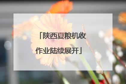 陕西夏粮机收作业陆续展开