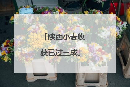 陕西小麦收获已过三成