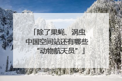 除了果蝇、涡虫 中国空间站还有哪些“动物航天员”