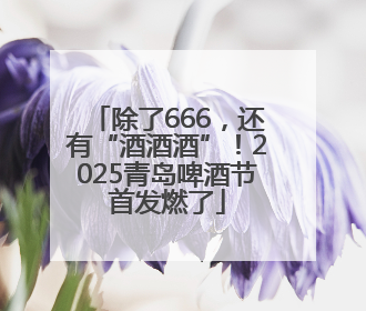除了666，还有“酒酒酒”！2025青岛啤酒节首发燃了