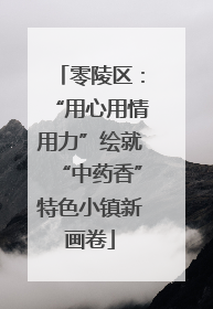 零陵区：“用心用情用力”绘就“中药香”特色小镇新画卷