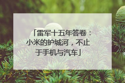 雷军十五年答卷：小米的护城河，不止于手机与汽车