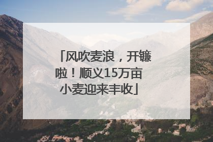 风吹麦浪，开镰啦！顺义15万亩小麦迎来丰收