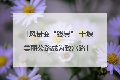 风景变“钱景” 十堰美丽公路成为致富路