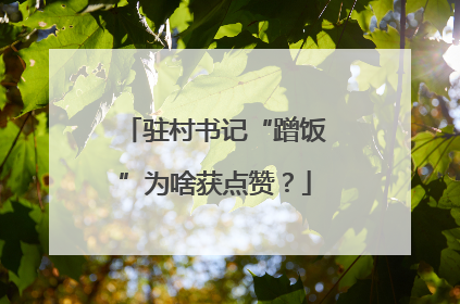 驻村书记“蹭饭”为啥获点赞？
