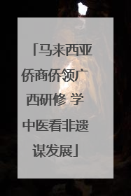 马来西亚侨商侨领广西研修 学中医看非遗谋发展