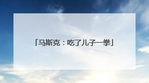 马斯克：吃了儿子一拳